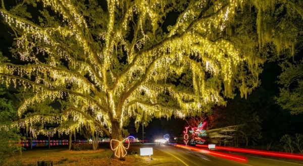 The Lowcountry’s Beloved Holiday Festival Of Lights Will Be Returning To South Carolina