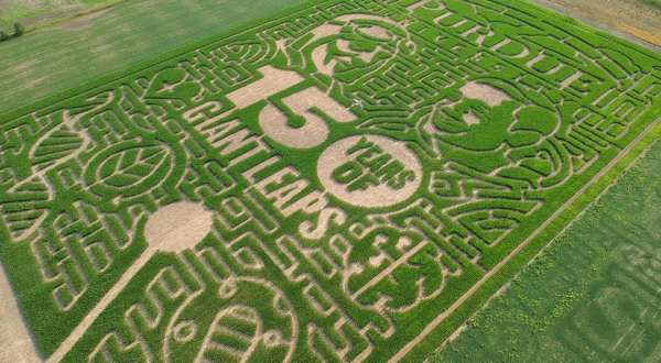Voted One Of The Best Corn Mazes In The Country, Exploration Acres’ Corn Maze Is a Must-Visit Fall Destination In Indiana