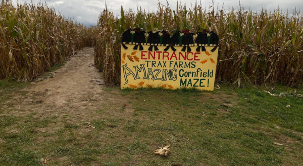Welcome Autumn With A Visit To Trax Farms Harvest Days Near Pittsburgh
