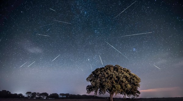 Bright Meteors Will Streak Across The South Carolina Sky In The Beloved Annual Perseid Meteor Shower In August