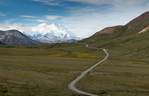 Off The Beaten Path In Denali National Park, You'll Find A Breathtaking Alaska Overlook That Lets You See For Miles