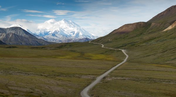 Off The Beaten Path In Denali National Park, You’ll Find A Breathtaking Alaska Overlook That Lets You See For Miles