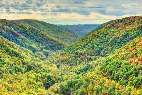 Book Now For A Front-Row Seat To See West Virginia's Spectacular Fall Foliage