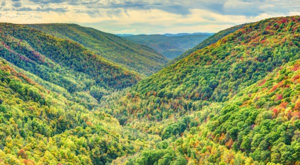 Book Now For A Front-Row Seat To See West Virginia’s Spectacular Fall Foliage
