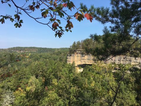 You'll Be Amazed By The Natural Rock Formations And Stunning Views At Pogue Creek Overlook In Tennessee