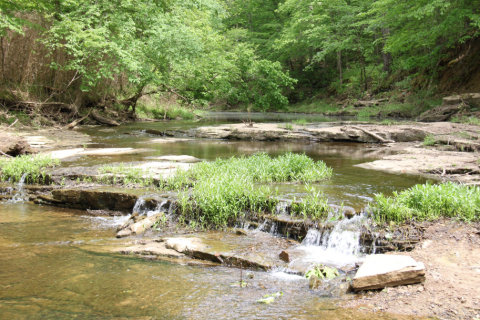 The Beautiful Rough River Lake In Kentucky Is A Hidden Gem Worth Seeking Out