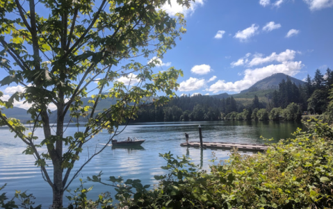 Picnic, Paddle, And Play 18 Holes Disc Golf At Oregon's Dexter State Recreation Site
