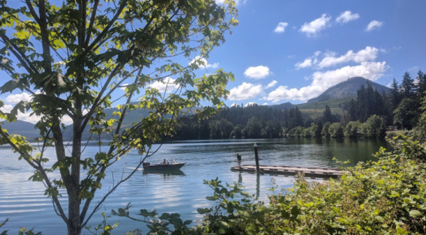 Picnic, Paddle, And Play 18 Holes Disc Golf At Oregon’s Dexter State Recreation Site