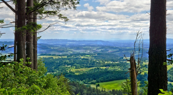 Pack Your Picnic And Head To Bald Peak State Scenic Viewpoint For An Afternoon Adventure