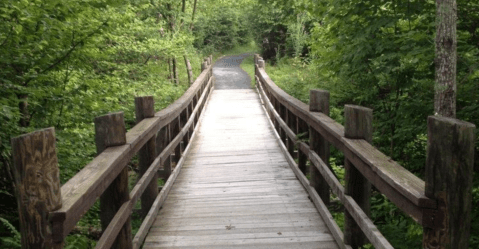 Follow A Magical Boardwalk Trail Through The Woods When You Hike Limberlost Trail In Virginia