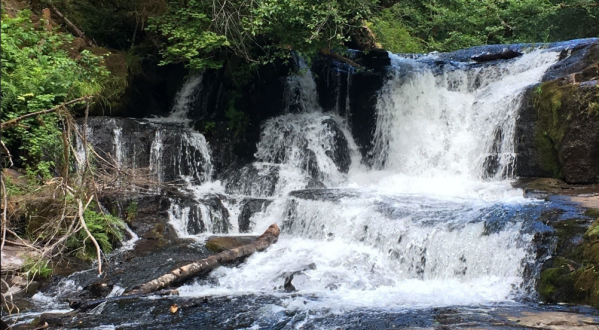 Alsea Falls Recreation Site Is One Of The Most Underrated Summer Destinations In Oregon