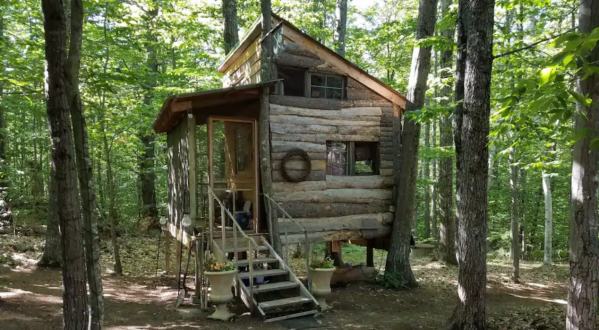 Live Out Your Childhood Dreams With A Stay At This Hobbit-Like Treehouse In New Hampshire