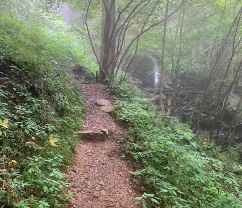Winding Through Woods, Waterfalls, And A Graveyard, Little Devil's Stairs Trail In Virginia Is Full Of Intrigue
