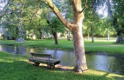 Cool Off Under The Shady Willow Trees This Summer At Merlin Olsen Central Park In Logan, Utah
