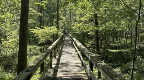 Big Hill Pond State Park In Tennessee Is So Well-Hidden, It Feels Like One Of The State's Best Kept Secrets