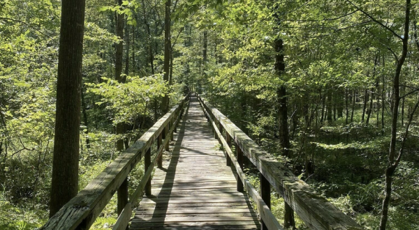 Big Hill Pond State Park In Tennessee Is So Well-Hidden, It Feels Like One Of The State’s Best Kept Secrets