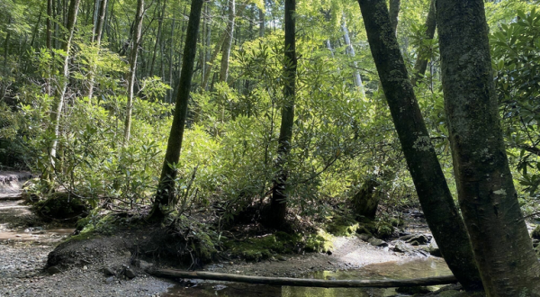 A 2-Mile Hiking Trail In North Carolina, Green Knob Loop Is Full Of Babbling Brooks