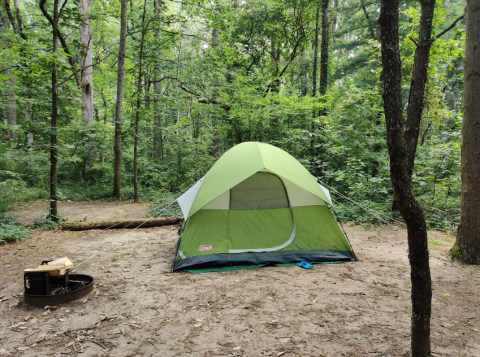 Plan A Family Camping Trip Under The Stars At Killens Pond In Delaware