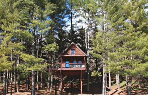 Stay Overnight At This Spectacularly Unconventional Treehouse In Virginia