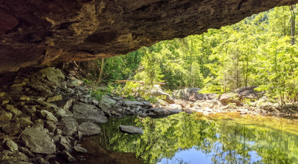 There’s No Better Place To Cool Down This Summer Than The North Chickamauga Creek Gorge In Tennessee
