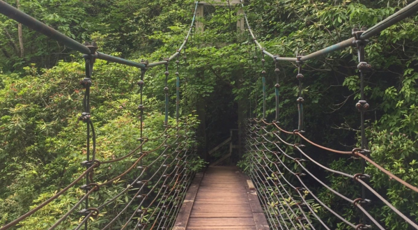 Naturaland Trust Trail Is A Challenging Hike In South Carolina That Will Make Your Stomach Drop