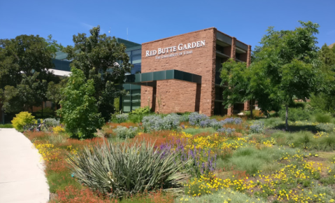 Stroll Along The Pretty Paths And Enjoy The Views At Red Butte Garden In Utah