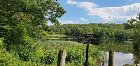 Retreat To A Campsite Deep Within A Massachusetts Forest Nestled Next To The Beautiful Berry Pond