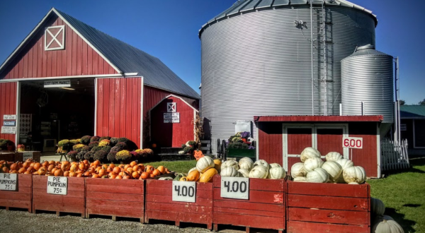 Gust Brothers Might Just Be The Most Fun-Filled Pumpkin Farm In All Of Michigan