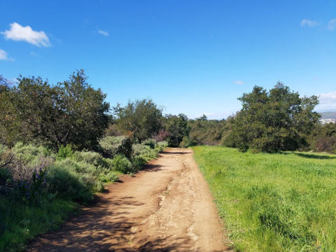 360 Acres Of Outdoor Adventures Await You At Hope Nature Preserve, A Picturesque Natural Oasis In Southern California