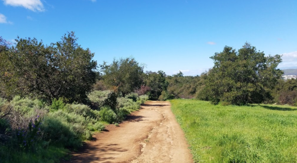 360 Acres Of Outdoor Adventures Await You At Hope Nature Preserve, A Picturesque Natural Oasis In Southern California