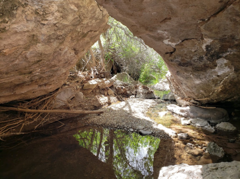 Hiking At Beaver Dam State Park In Nevada Is Like Entering A Fairytale