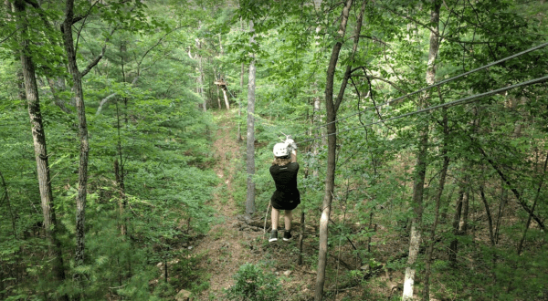 One Of The Longest In Virginia, The Bear Mountain Zipline Tour Offers 2,700 Feet Of Thrills