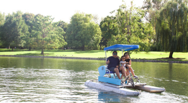 Rent A Paddle Boat At Julia Davis Park In Idaho And Cruise Around On The Water