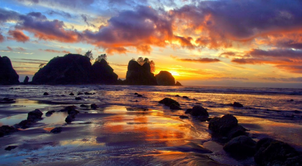 Shi Shi Beach Is A Little-Known Washington Destination With An Otherwordly Landscape