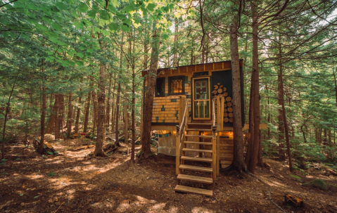 Stay Overnight At This Spectacularly Unconventional Treehouse In Vermont