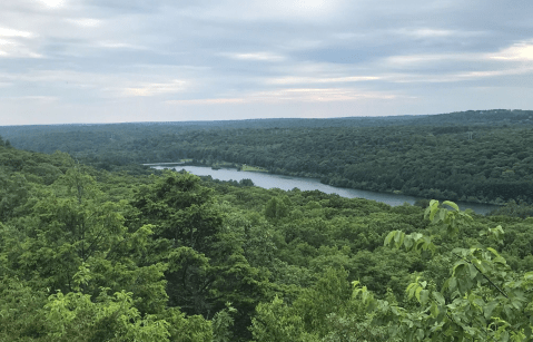 Hiding In Plain Sight, West Rock Ridge State Park In Connecticut Feels Like One Of The State's Best Kept Secrets