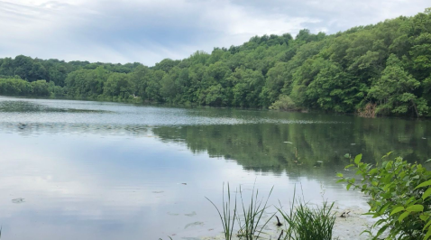 Take A 1-Mile Stroll Around Shimmering Waters On The Hanover Pond Trail In Connecticut