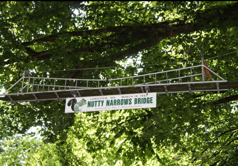 There's A Bridge Dedicated Solely To Squirrels In Washington (And It's Adorable)