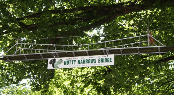 There’s A Bridge Dedicated Solely To Squirrels In Washington (And It’s Adorable)