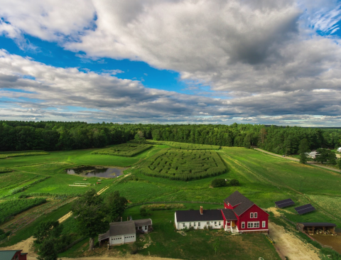 One Of The Best Corn Mazes In The Country, Coppal House Farm's Corn Maze Is a Must-Visit Fall Destination In New Hampshire