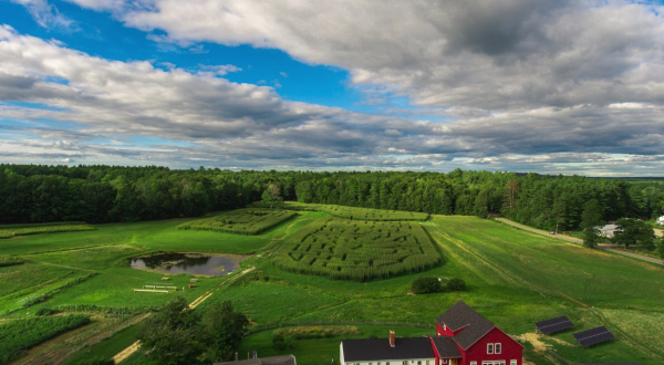 One Of The Best Corn Mazes In The Country, Coppal House Farm’s Corn Maze Is a Must-Visit Fall Destination In New Hampshire