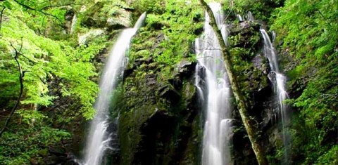 Plan A Visit To Lee Falls, South Carolina's Beautifully Green Waterfall