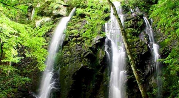 Plan A Visit To Lee Falls, South Carolina’s Beautifully Green Waterfall