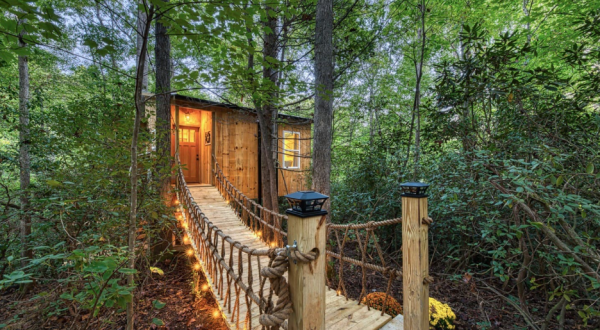 Stay Overnight At This Spectacularly Unconventional Treehouse In North Carolina
