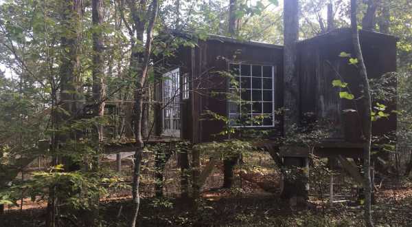 Take A Trip And Stay Overnight At This Spectacularly Unconventional Treehouse In Nashville