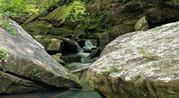 Alabama’s Cane Creek Canyon Nature Preserve Is A Nature Lover’s Dream