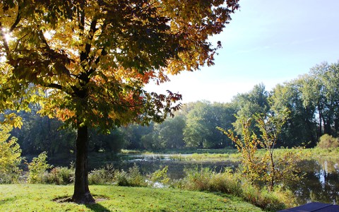 Deer Creek County Park In Michigan Is So Well-Hidden, It Feels Like One Of The State's Best Kept Secrets