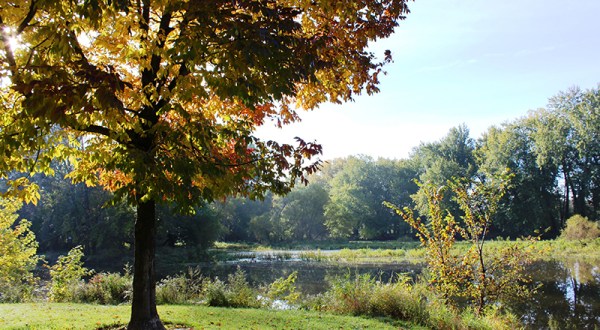 Deer Creek County Park In Michigan Is So Well-Hidden, It Feels Like One Of The State’s Best Kept Secrets