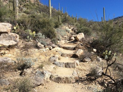 Douglas Spring Trail In Arizona Features Natural Staircases And An Awe-Inspiring Waterfall
