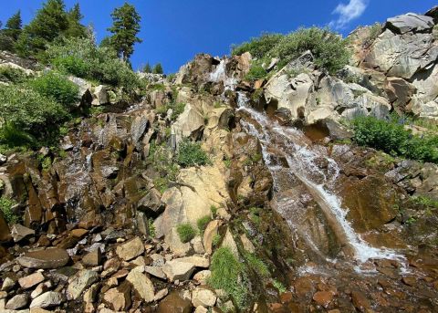 Galena Falls Trail Is A Beginner-Friendly Waterfall Trail In Nevada That's Great For A Family Hike